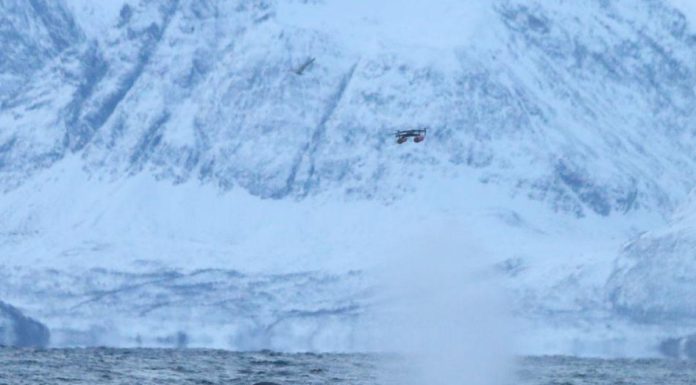Prélever l’Haleine des Baleines par Drone pour Évaluer Santé Prélever l'Haleine des Baleines par Drone pour Évaluer Santé