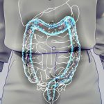Rôle Essentiel des Bactéries du Microbiote Intestinal Rôle Essentiel des Bactéries du Microbiote Intestinal