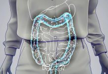Rôle Essentiel des Bactéries du Microbiote Intestinal Rôle Essentiel des Bactéries du Microbiote Intestinal