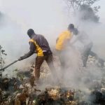 Incendie Détruit Tonnes de Coton à Laounangra Incendie Détruit Tonnes de Coton à Laounangra