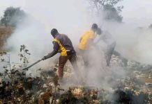 Incendie Détruit Tonnes de Coton à Laounangra Incendie Détruit Tonnes de Coton à Laounangra