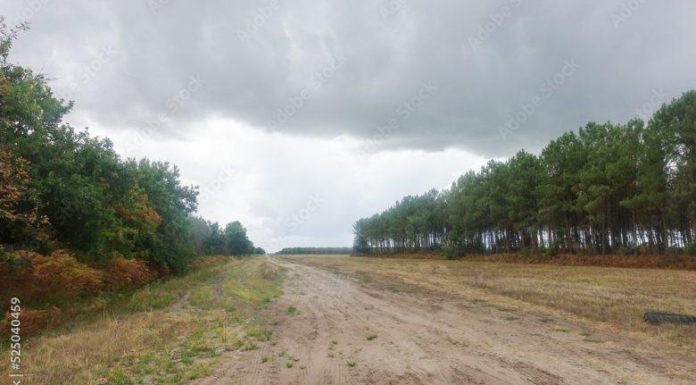 Protection Contre Les Feux De Brousse Dans Quatre Provinces Protection Contre Les Feux De Brousse Dans Quatre Provinces