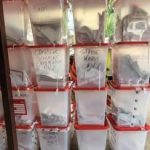 RCA : Vers des élections partielles pour compléter les institutions locales et nationales RCA : Vers des élections partielles pour compléter les institutions locales et nationales