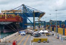 Tchad Détenait 77 % Du Marché Des Graines En 2025 Tchad Détenait 77 % Du Marché Des Graines En 2025