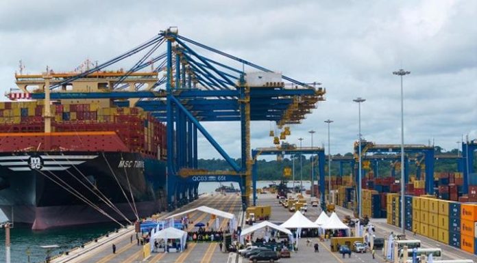 Tchad Détenait 77 % Du Marché Des Graines En 2025 Tchad Détenait 77 % Du Marché Des Graines En 2025