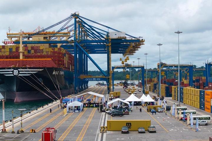 Tchad Détenait 77 % Du Marché Des Graines En 2025 Tchad Détenait 77 % Du Marché Des Graines En 2025