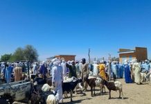 Ministre de l’Élevage Supervise Marchés à Bétail Ministre de l'Élevage Supervise Marchés à Bétail