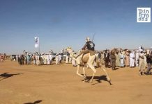 Courses De Dromadaires Au FISCA Récompensent Vainqueurs Courses De Dromadaires Au FISCA Récompensent Vainqueurs