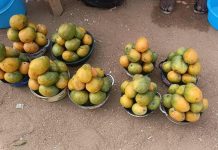 Doba: La Mangue Manque Son Rendez-Vous Doba: La Mangue Manque Son Rendez-Vous