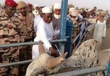 Lancement de la Campagne de Vaccination PPCB et PPR Lancement de la Campagne de Vaccination PPCB et PPR