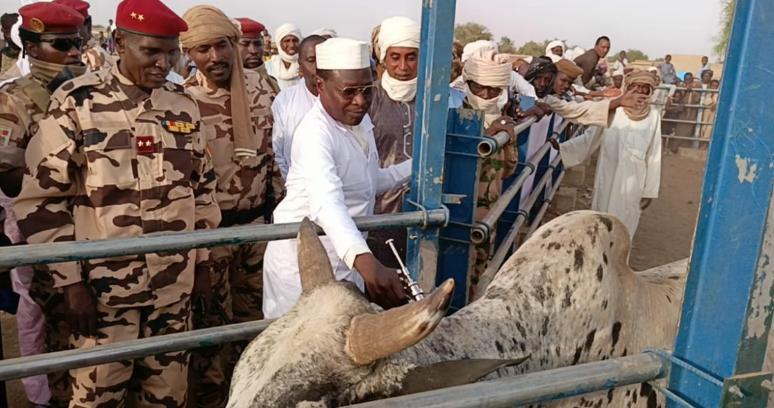 Lancement de la Campagne de Vaccination PPCB et PPR Lancement de la Campagne de Vaccination PPCB et PPR