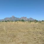 Braquage D’une ONG Sur L’Axe Mangalmé-Oum-Hadjer Braquage D'une ONG Sur L'Axe Mangalmé-Oum-Hadjer