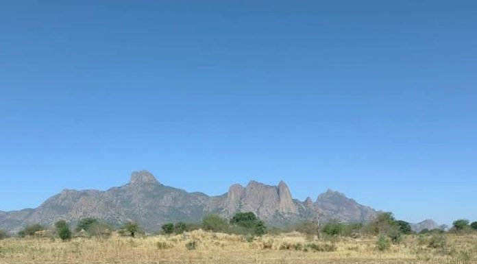 Braquage D’une ONG Sur L’Axe Mangalmé-Oum-Hadjer Braquage D'une ONG Sur L'Axe Mangalmé-Oum-Hadjer