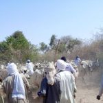 Éleveurs Du Mayo-Kebbi Est Demandent Eau Et Vaccins Éleveurs Du Mayo-Kebbi Est Demandent Eau Et Vaccins