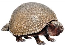 Bio-Inspiration: Paléontologie Comme Source D’Innovation Bio-Inspiration: Paléontologie Comme Source D'Innovation