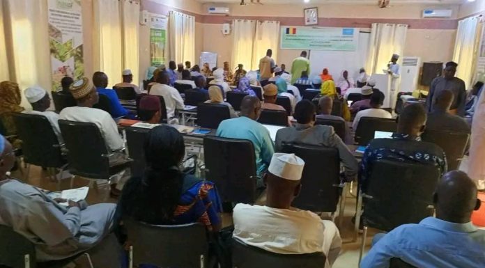 Évaluation Du Diagnostic Pour Plan De Contingence Multirisque Évaluation Du Diagnostic Pour Plan De Contingence Multirisque