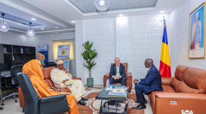 Tchad Unicef: Enjeux Stratégiques Éducation Tchad Unicef: Enjeux Stratégiques Éducation