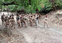 Opération Al Hamamia Poursuit Ses Actions Frontière Tchad-RCA Opération Al Hamamia Poursuit Ses Actions Frontière Tchad-RCA