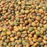 N’Djaména: Rareté de la Mangue sur les Marchés N’Djaména: Rareté de la Mangue sur les Marchés