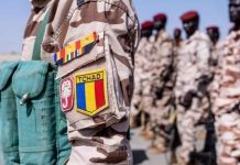 Tchad Renforce Son Effectif Dans Mission Anti-Gangs Tchad Renforce Son Effectif Dans Mission Anti-Gangs