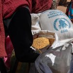 Le Tchad Interdit les Exportations de Céréales Face aux Pénuries Le Tchad Interdit les Exportations de Céréales Face aux Pénuries