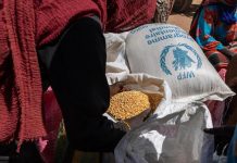 Le Tchad Interdit les Exportations de Céréales Face aux Pénuries Le Tchad Interdit les Exportations de Céréales Face aux Pénuries