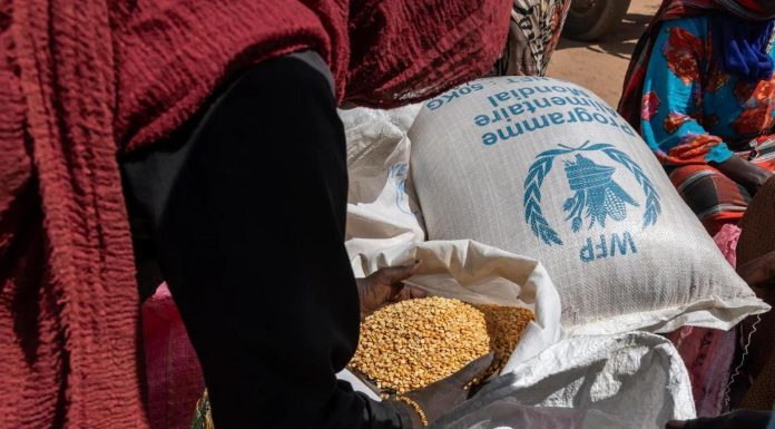 Le Tchad Interdit les Exportations de Céréales Face aux Pénuries Le Tchad Interdit les Exportations de Céréales Face aux Pénuries