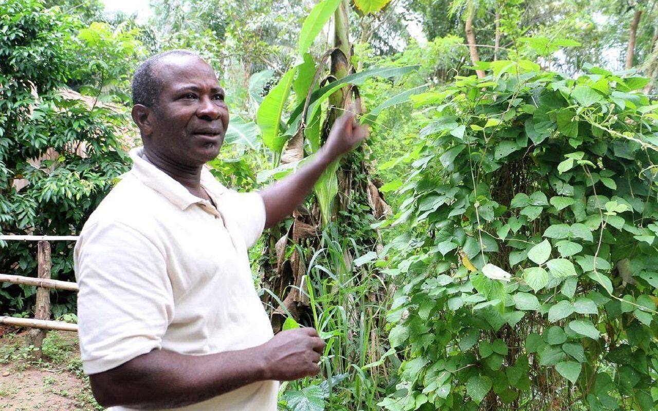 Simon Todzro, l’agroécologiste togolais qui partage ses connaissances avec autant de passion que d’espoir Simon Todzro, l’agroécologiste togolais qui partage ses connaissances avec autant de passion que d’espoir