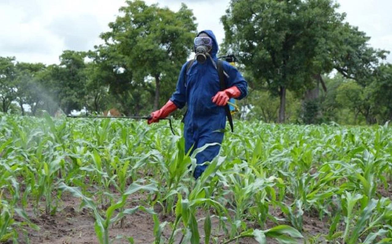 Agriculture togolaise : où sont les bras ?
