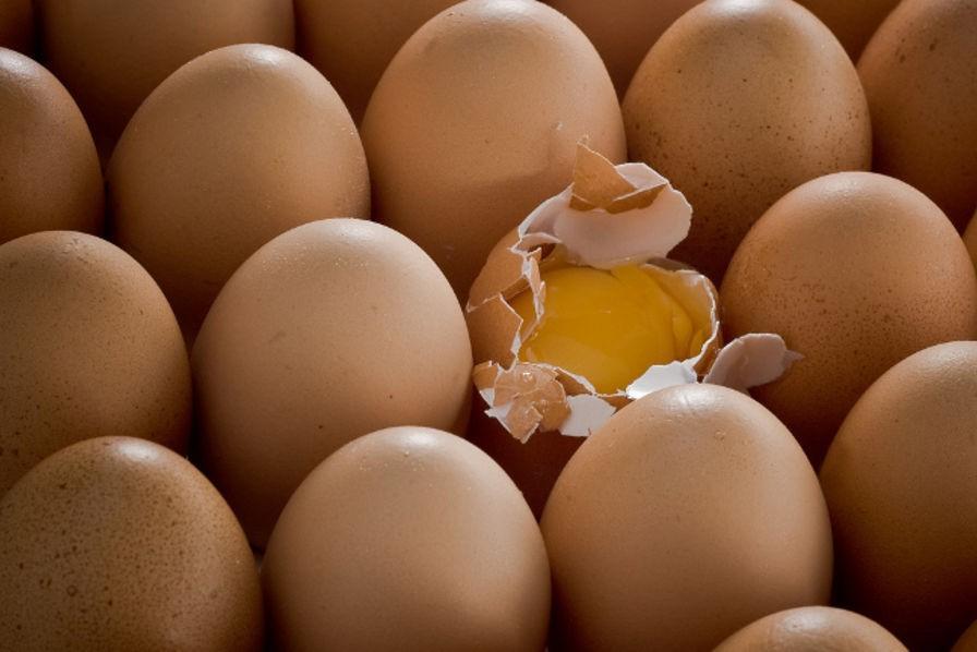 pénurie d’œufs à N’Djamena pénurie d’œufs à N’Djamena