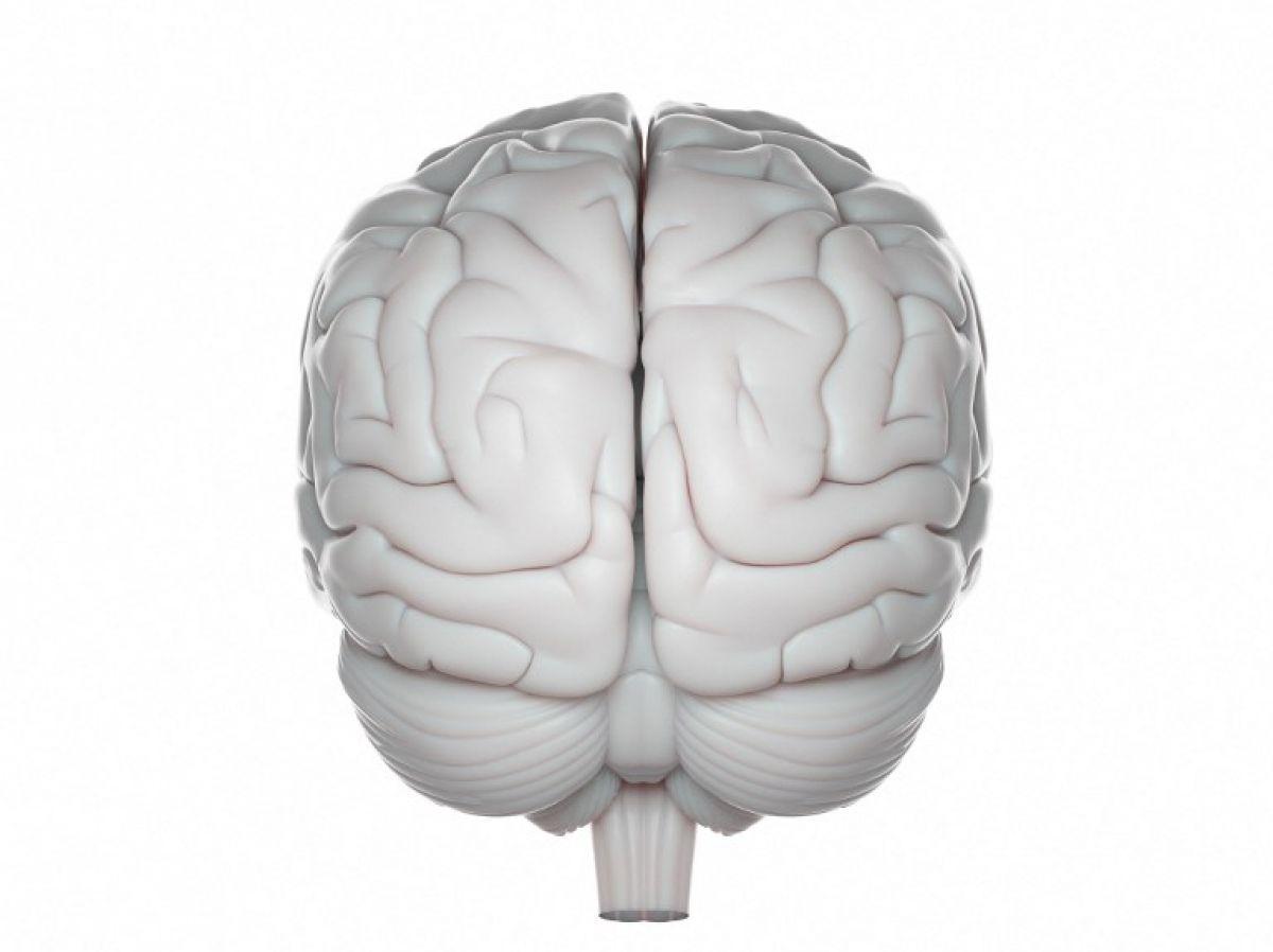 LIVRE. La fabrique de l'erreur dans le cerveau LIVRE. La fabrique de l'erreur dans le cerveau