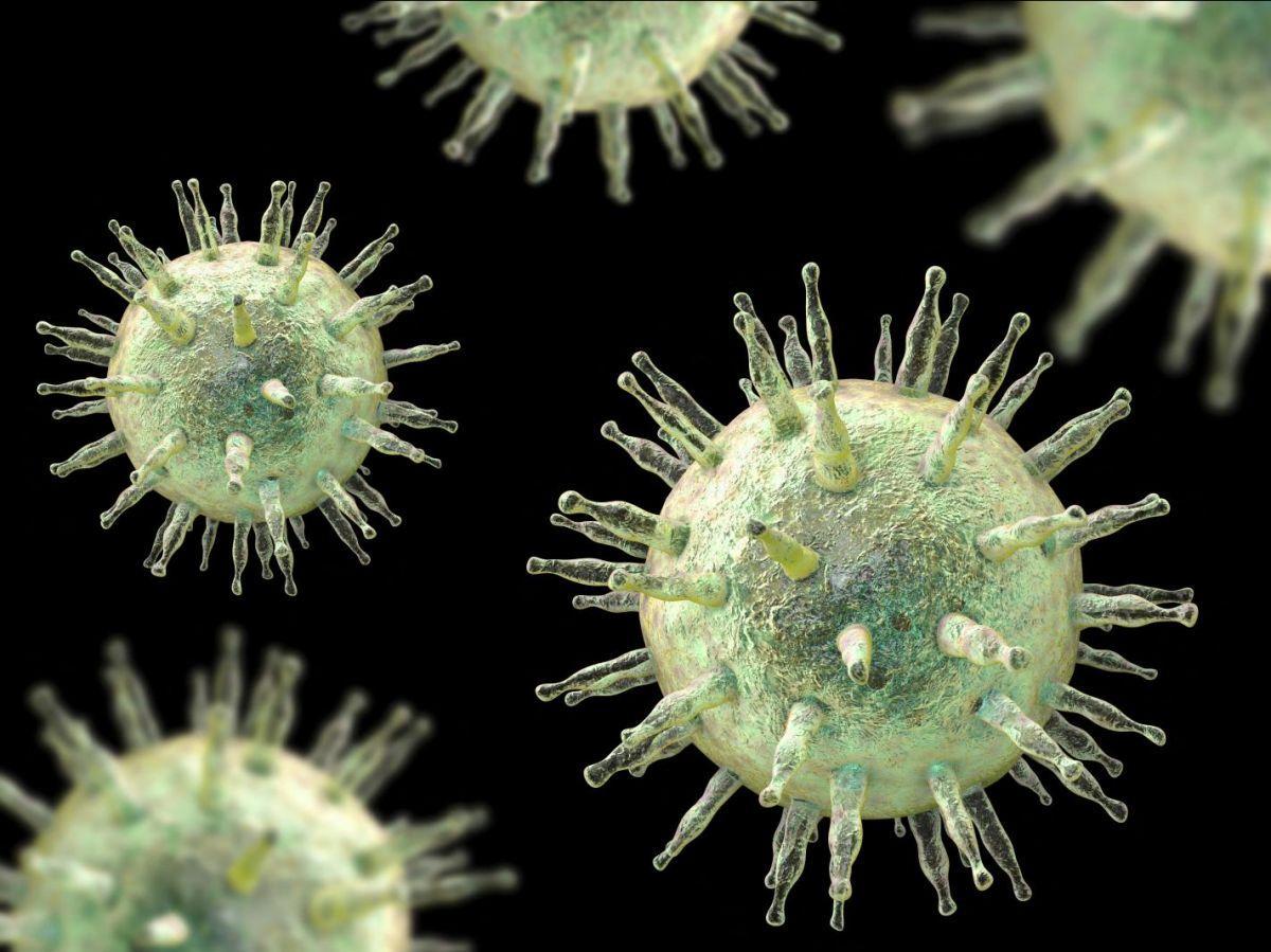 PODCAST. Sixième Science, épisode 118 : entre virus et immunité, des liaisons dangereuses et complexes PODCAST. Sixième Science, épisode 118 : entre virus et immunité, des liaisons dangereuses et complexes