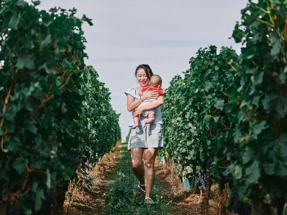Vivre près des vignes est-il associé à une augmentation des leucémies ? Vivre près des vignes est-il associé à une augmentation des leucémies ?