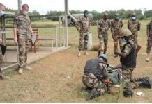 L’ANC Exige une Enquête Indépendante et Sérieuse pour Élucider les Circonstances du Massacre des Soldats à Kpinkankandi L’ANC Exige une Enquête Indépendante et Sérieuse pour Élucider les Circonstances du Massacre des Soldats à Kpinkankandi