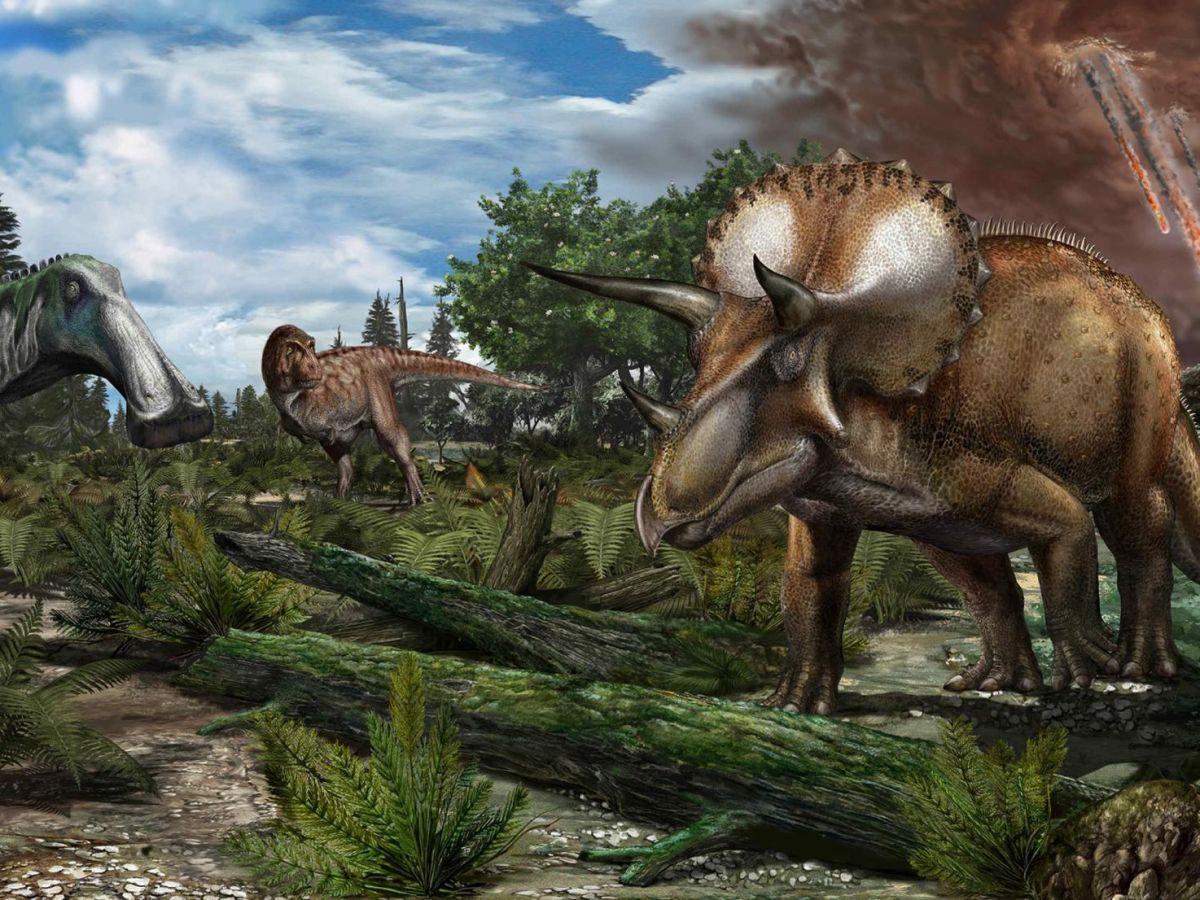 Dinosaures : un déclin qui n’a peut-être jamais existé Dinosaures : un déclin qui n’a peut-être jamais existé