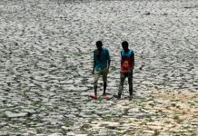 Canicules Rendent des Régions Invivables dans Décennies Canicules Rendent des Régions Invivables dans Décennies