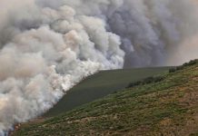 Incendies Ravagent 343.000 Hectares en Espagne 2025 Incendies Ravagent 343.000 Hectares en Espagne 2025