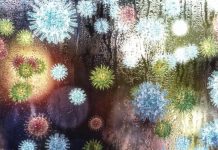 Injection Universelle Contre Toutes les Grippes Injection Universelle Contre Toutes les Grippes