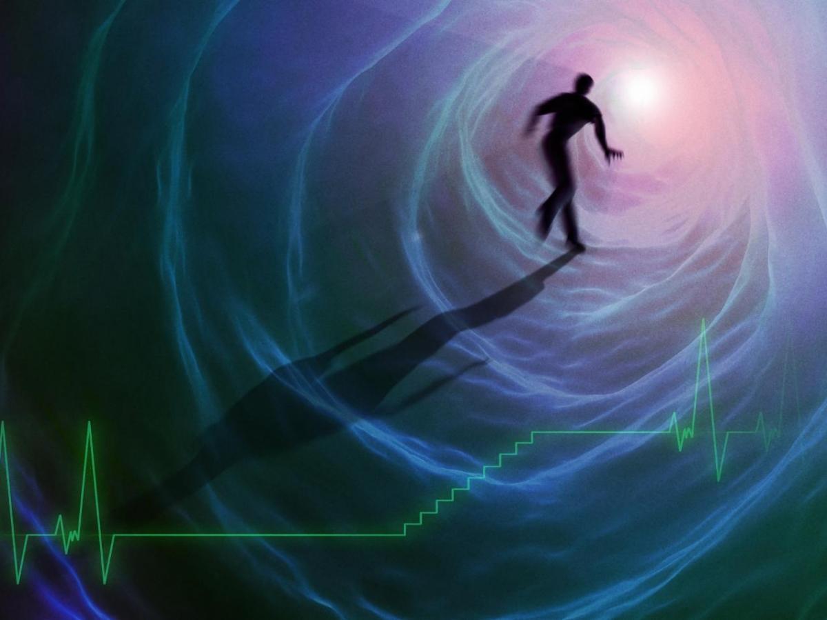 La Vie Défile Sous Nos Yeux À L'Orée De La Mort La Vie Défile Sous Nos Yeux À L'Orée De La Mort