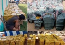 Kloto Intercepte Plus D’une Tonne De Cannabis Kloto Intercepte Plus D'une Tonne De Cannabis