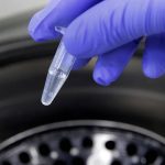 French Gut: Les Enfants Révèlent Leur Microbiote French Gut: Les Enfants Révèlent Leur Microbiote