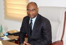 Feux Précoces: Kokoroko Annonce Dates Limites Feux Précoces: Kokoroko Annonce Dates Limites