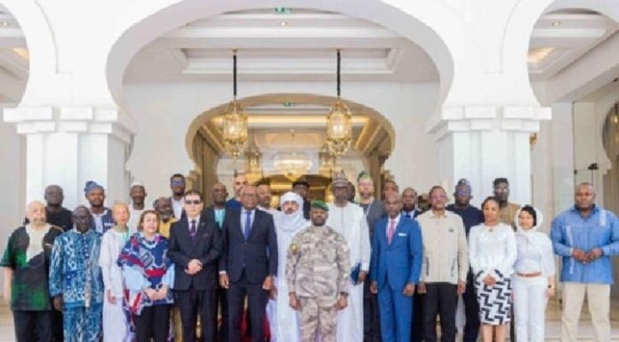 Freedom Togo-MLN Critique Sommet Panafricaniste Freedom Togo-MLN Critique Sommet Panafricaniste