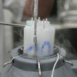 Enfants Conçus Avec Donneur Danois Risque Cancer Enfants Conçus Avec Donneur Danois Risque Cancer