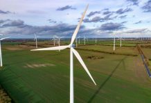 Eoliennes Et Lumière Intermittente Sauvent Chauves-Souris Eoliennes Et Lumière Intermittente Sauvent Chauves-Souris