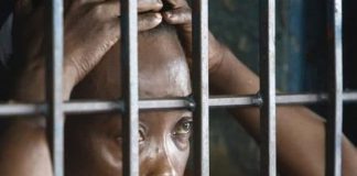 Libération Des Prisonniers Politiques Acte Manqué Libération Des Prisonniers Politiques Acte Manqué