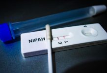 Virus Nipah en Inde: L’Europe Doit-Elle S’inquiéter? Virus Nipah en Inde: L'Europe Doit-Elle S'inquiéter?