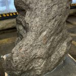 Découverte D’Un Morceau D’Une Grande Météorite Découverte D'Un Morceau D'Une Grande Météorite