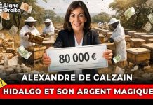 Polémique à Paris autour d’un projet apicole à Tandjouaré Polémique à Paris autour d’un projet apicole à Tandjouaré