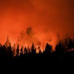 Malédiction de la Patagonie: Feux de forêt en Argentine Malédiction de la Patagonie: Feux de forêt en Argentine